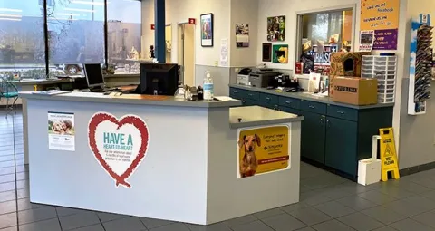 elite animal hospital reception