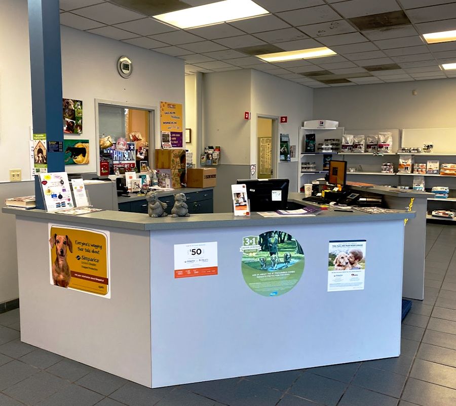 elite animal hospital reception
