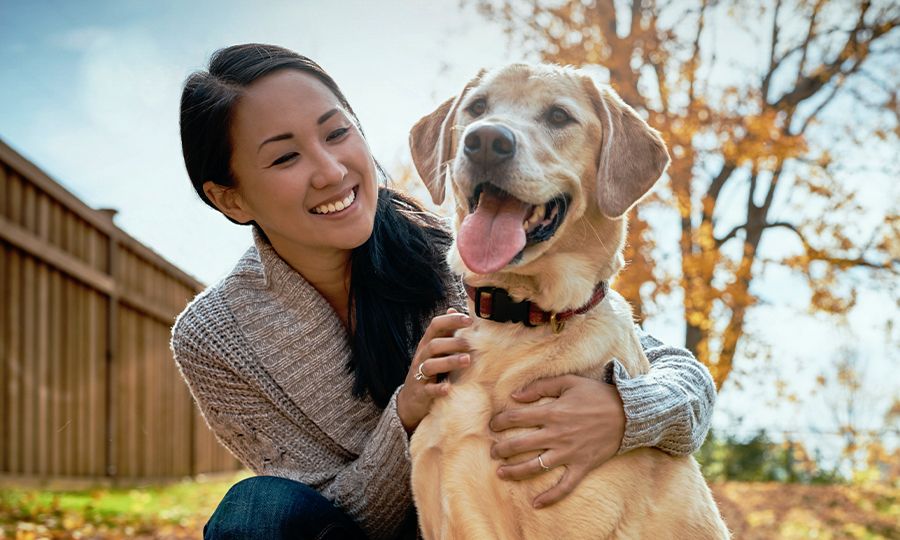 happy asian woman and her labrador dog at the park