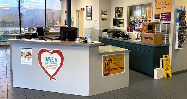 elite animal hospital reception