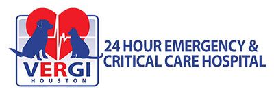 VERGI 24/7 logo